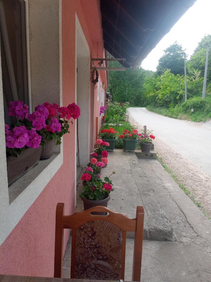 Apartamento Valja Mare Moma Golubac Exterior foto