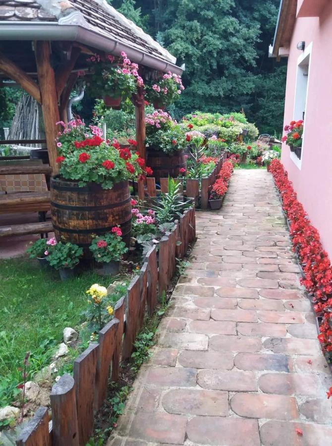 Apartamento Valja Mare Moma Golubac Exterior foto